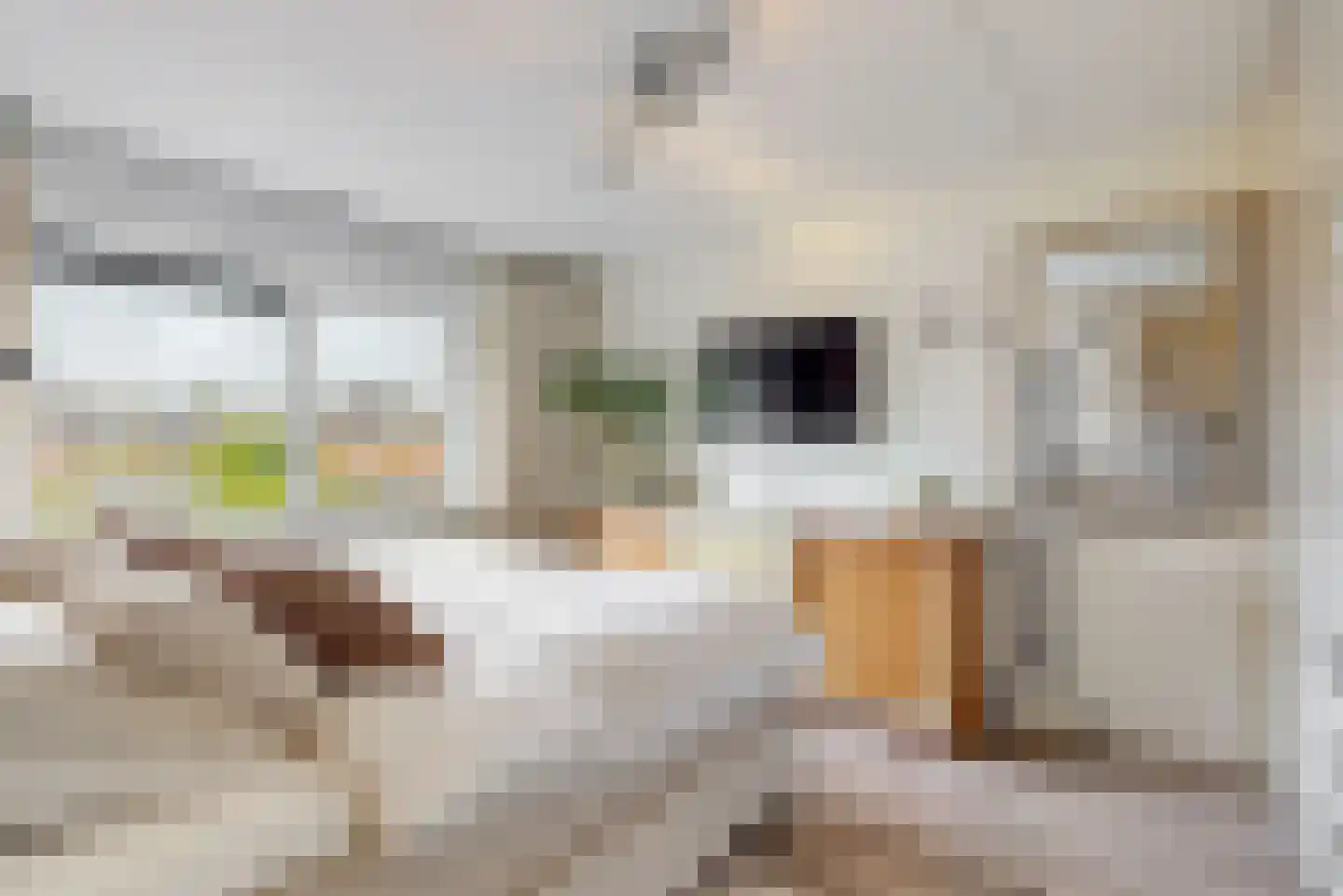 Dopheide 3 Limmen thumbnail 17