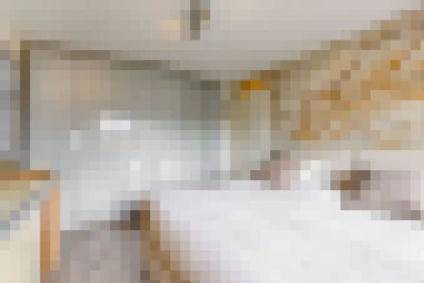 Dopheide 3 Limmen thumbnail 18
