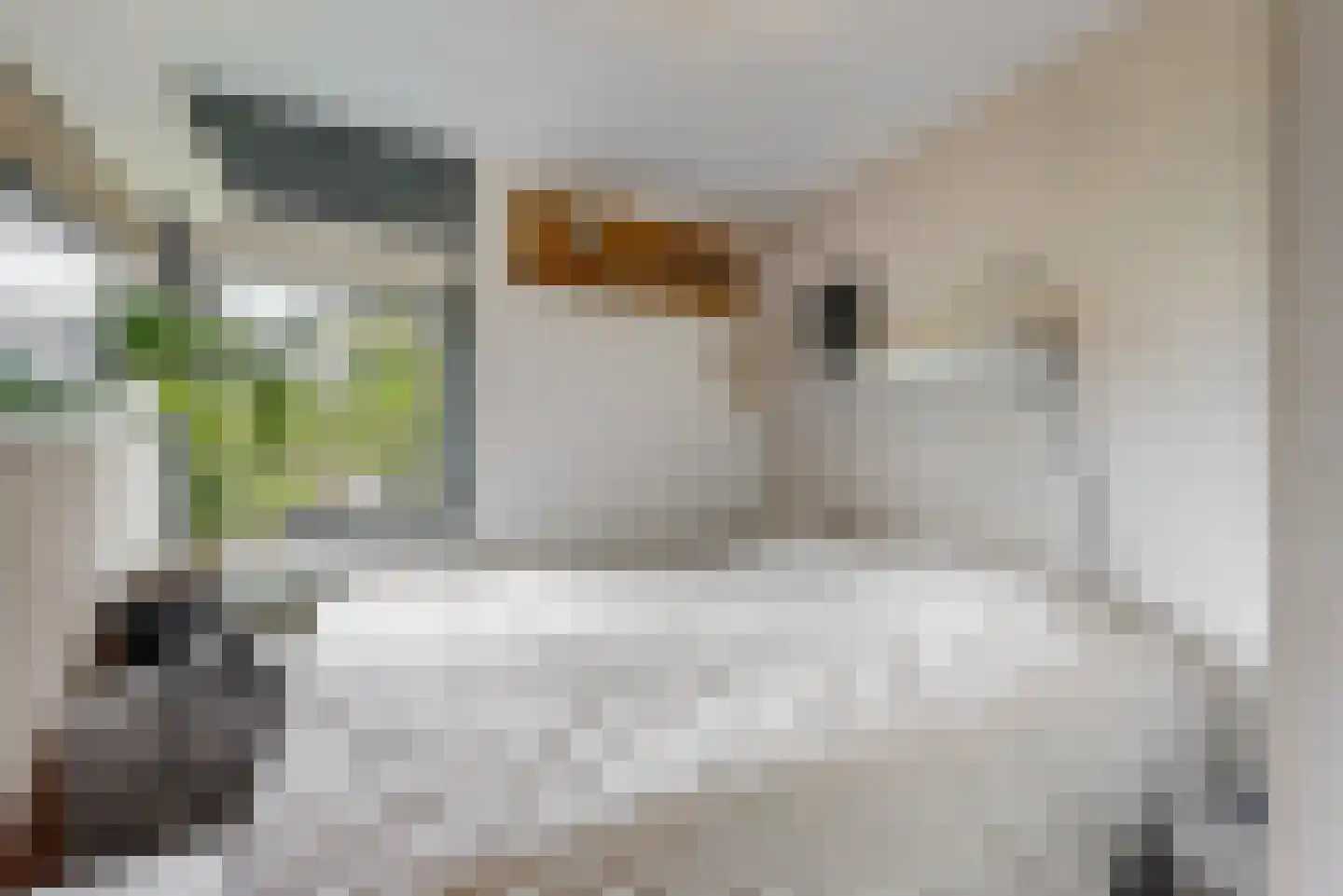Dopheide 3 Limmen thumbnail 21