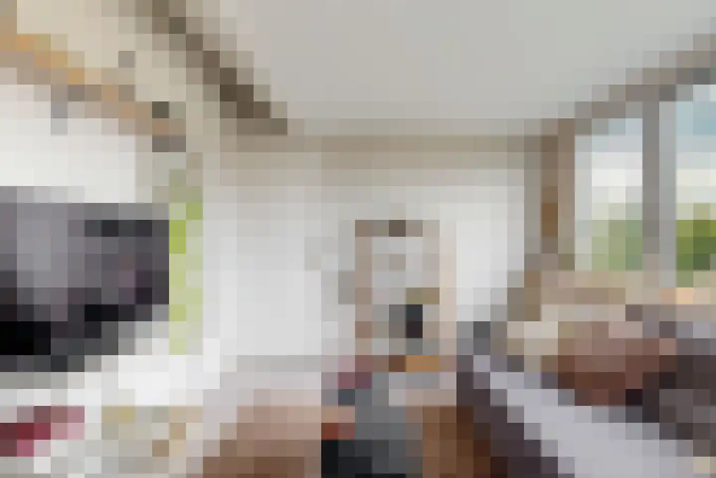 Dopheide 3 Limmen thumbnail 28