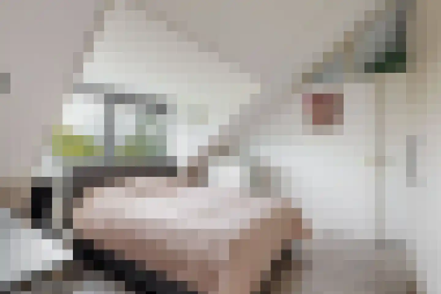 Dopheide 3 Limmen thumbnail 29