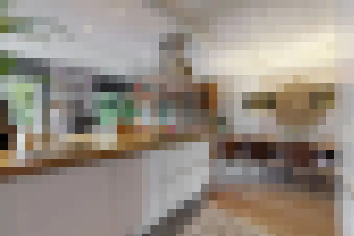 Dopheide 3 Limmen foto 3