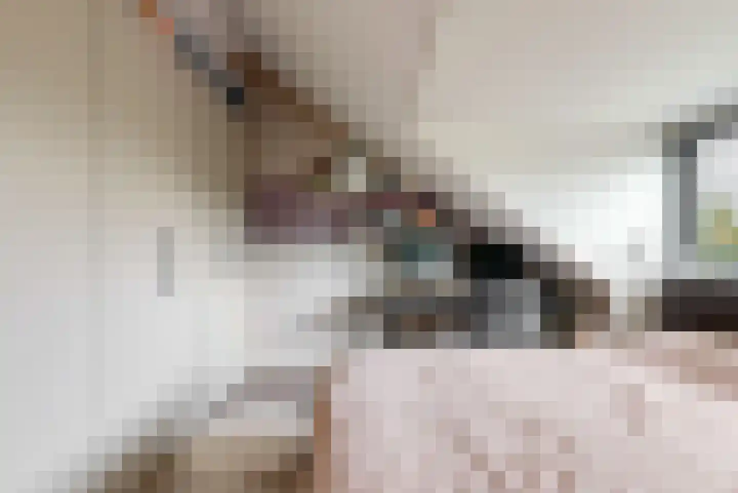 Dopheide 3 Limmen thumbnail 30