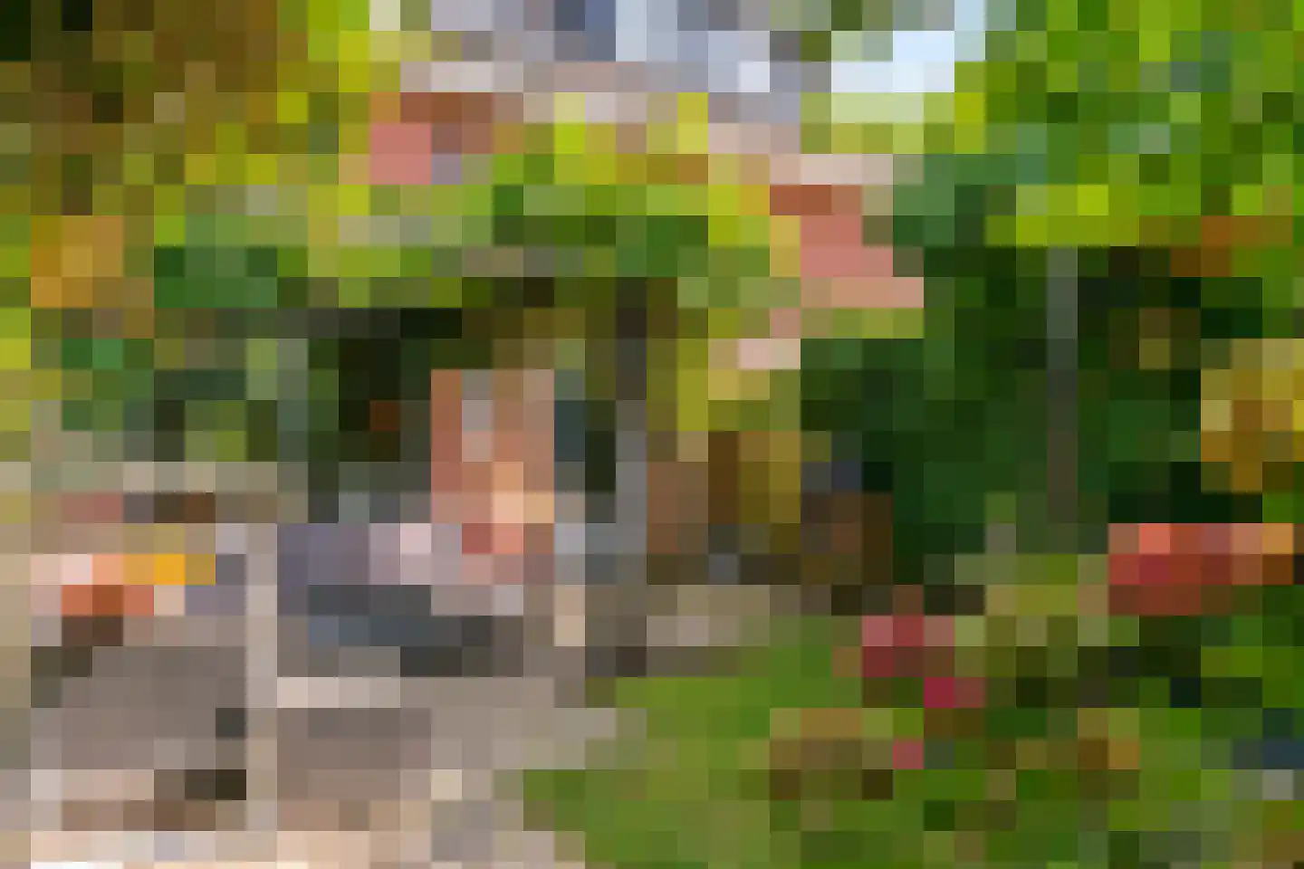 Dopheide 3 Limmen thumbnail 33