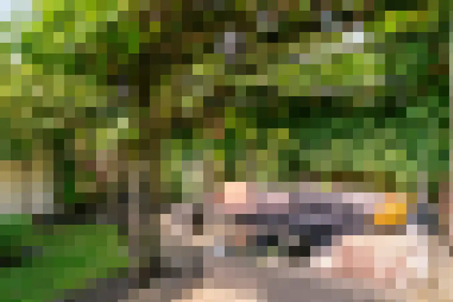 Dopheide 3 Limmen thumbnail 35
