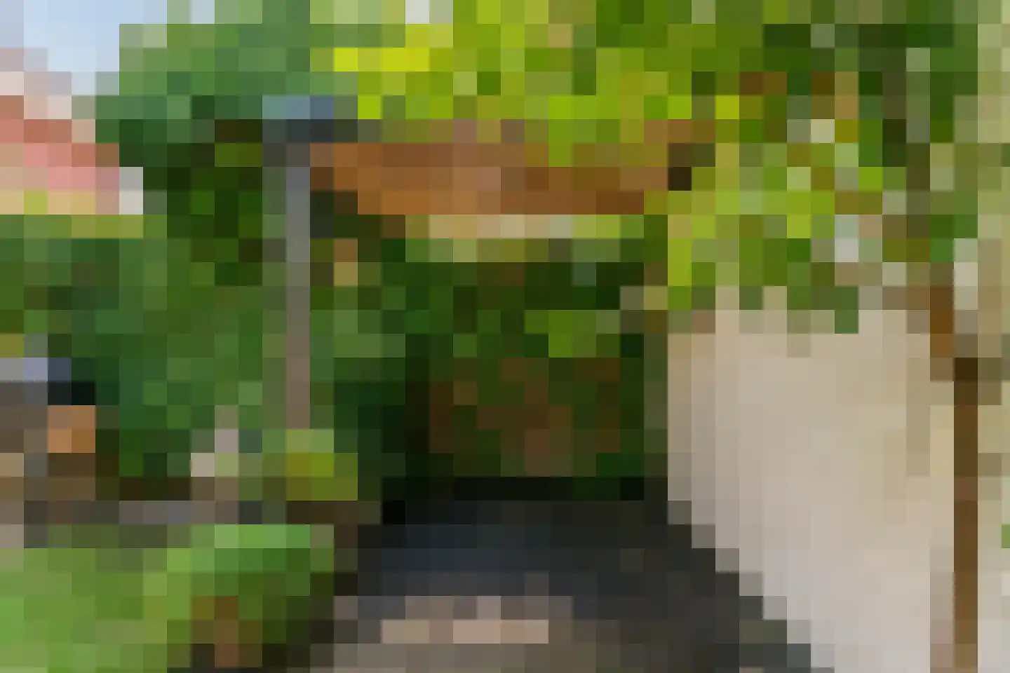 Dopheide 3 Limmen thumbnail 36