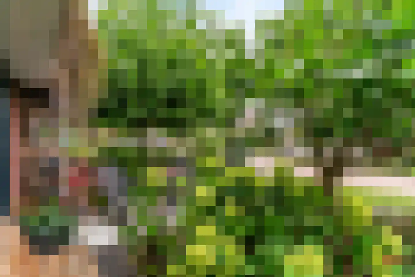 Dopheide 3 Limmen thumbnail 38