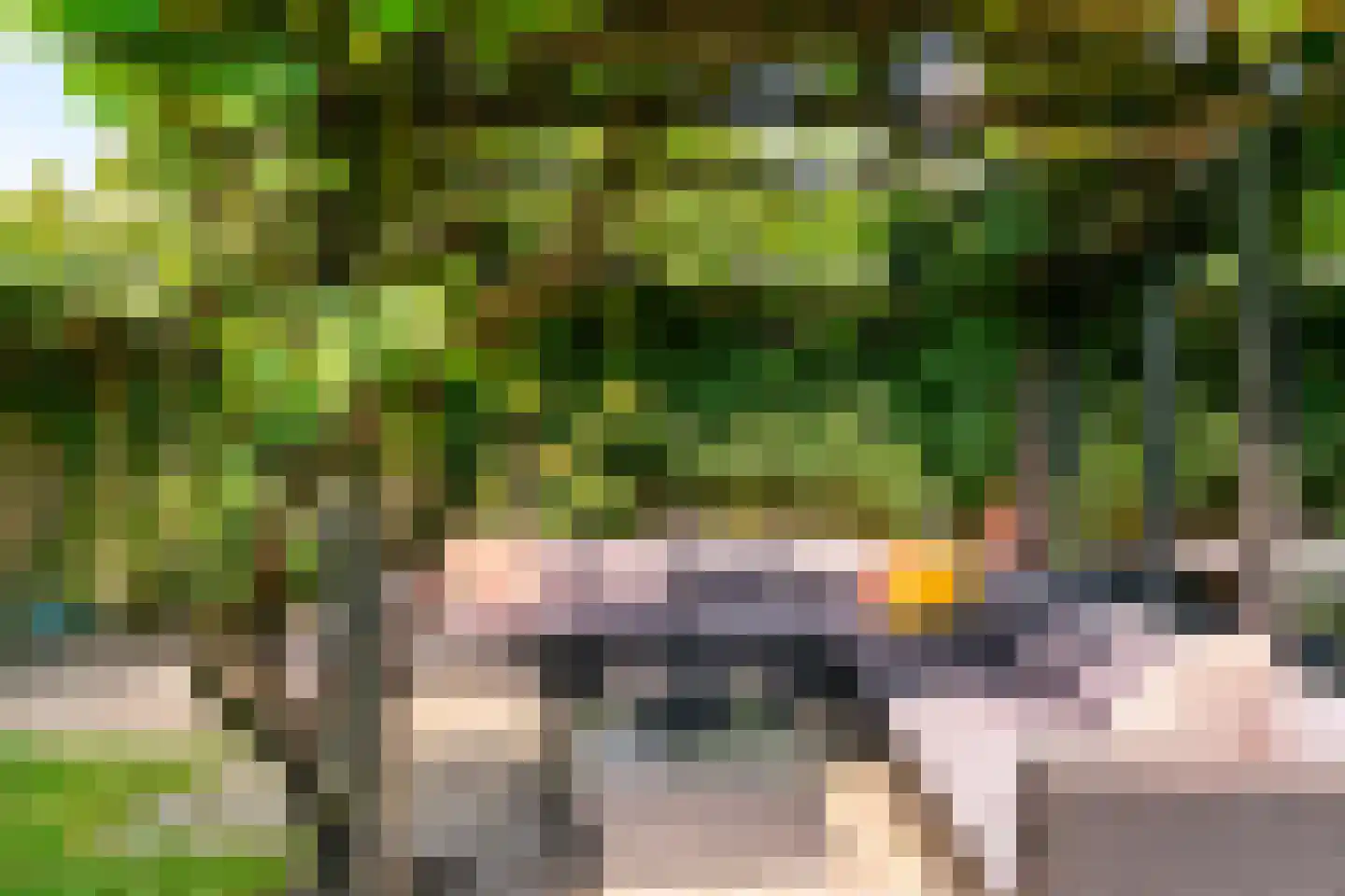 Dopheide 3 Limmen thumbnail 4