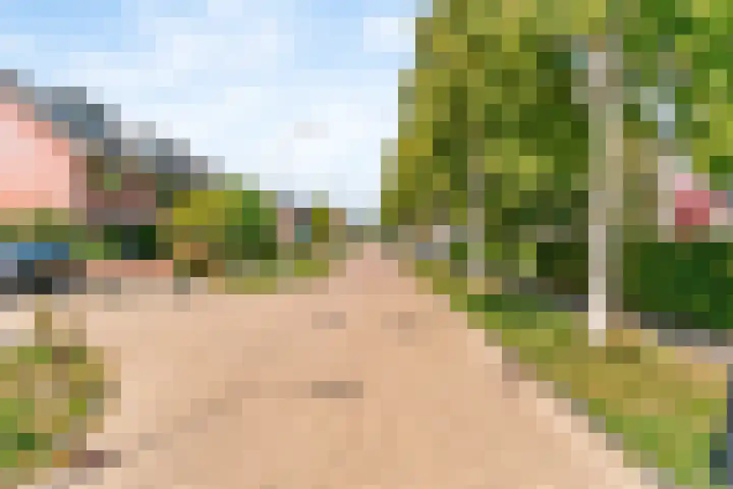 Dopheide 3 Limmen thumbnail 41