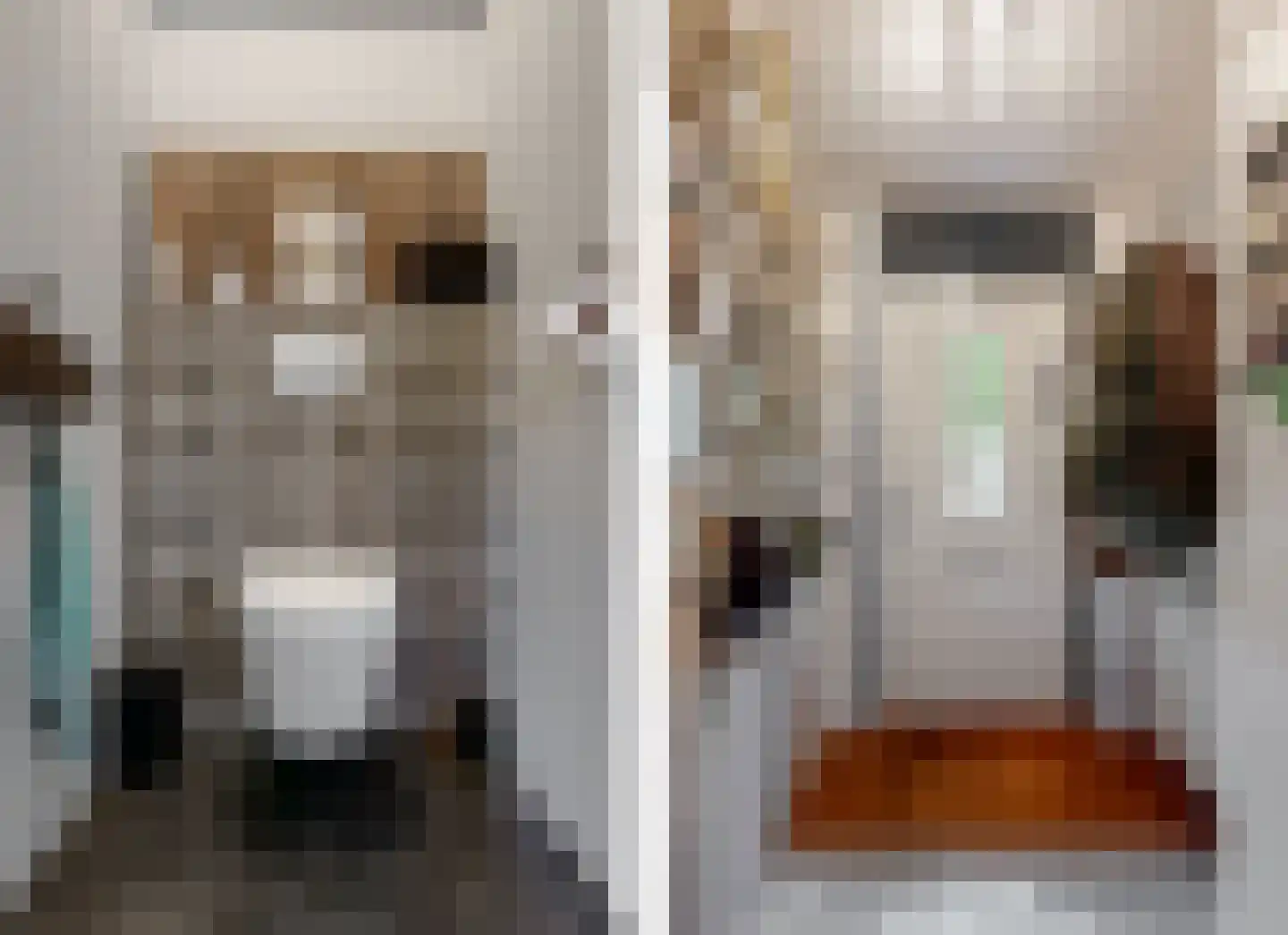 Dopheide 3 Limmen thumbnail 7