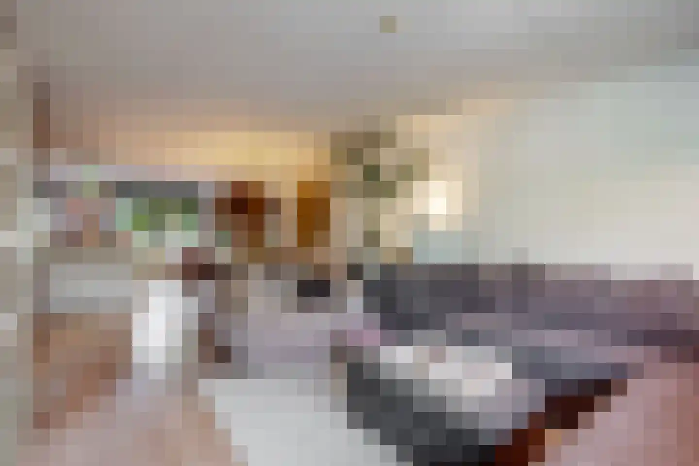 Dopheide 3 Limmen thumbnail 8