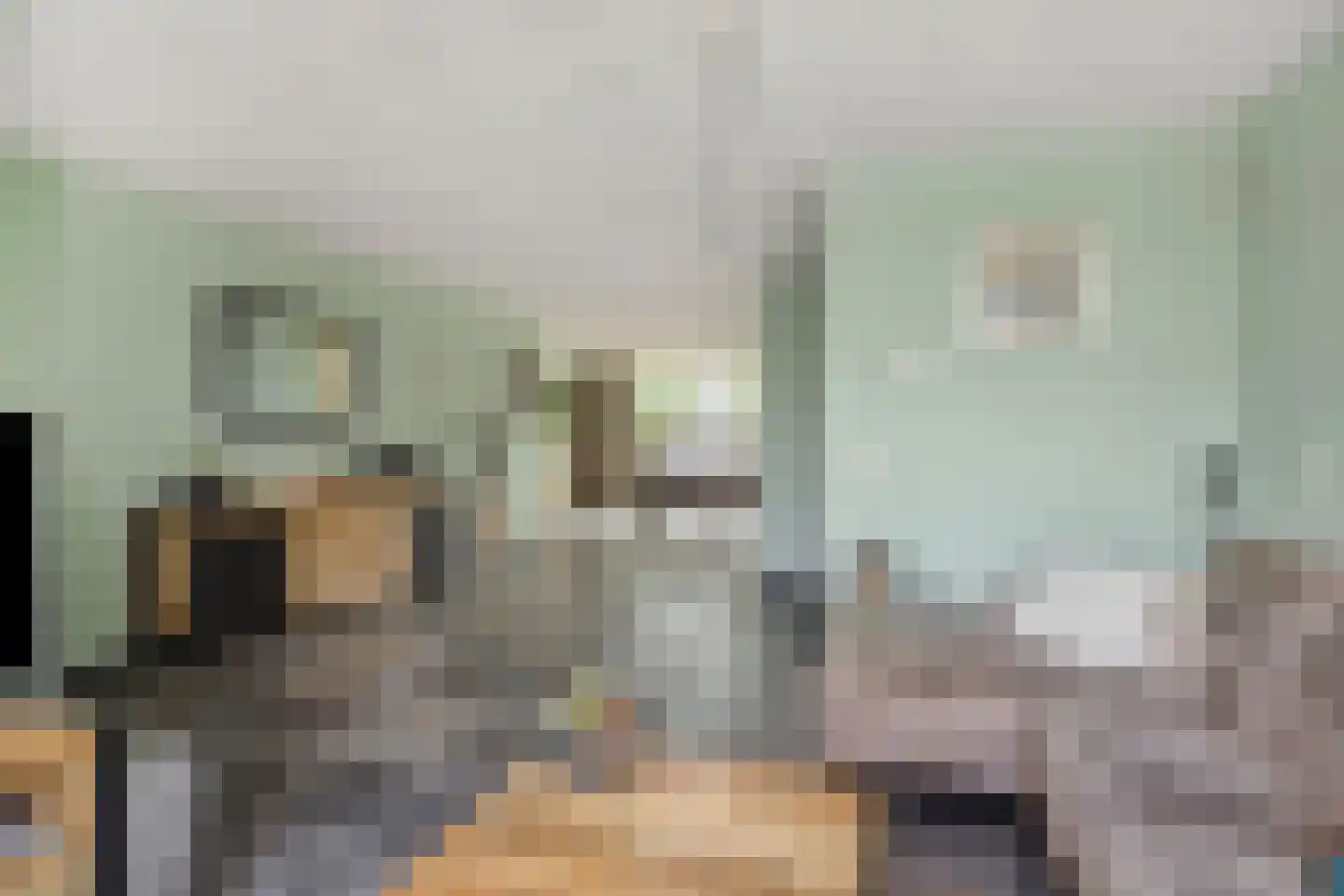 Dopheide 31 Deurne thumbnail 11