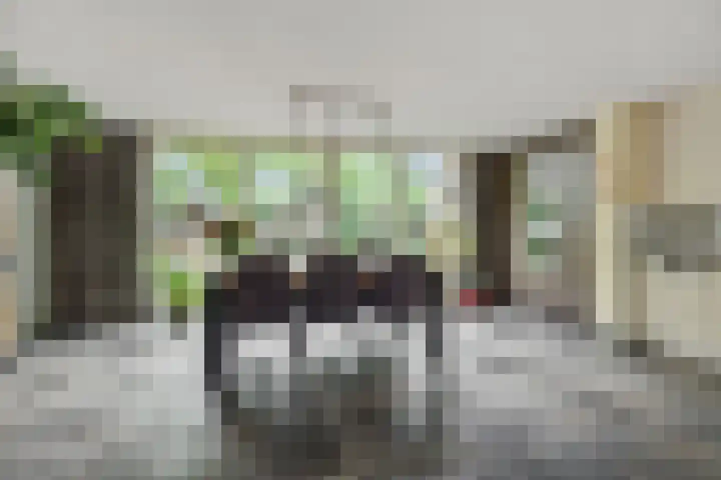 Dopheide 31 Deurne thumbnail 12