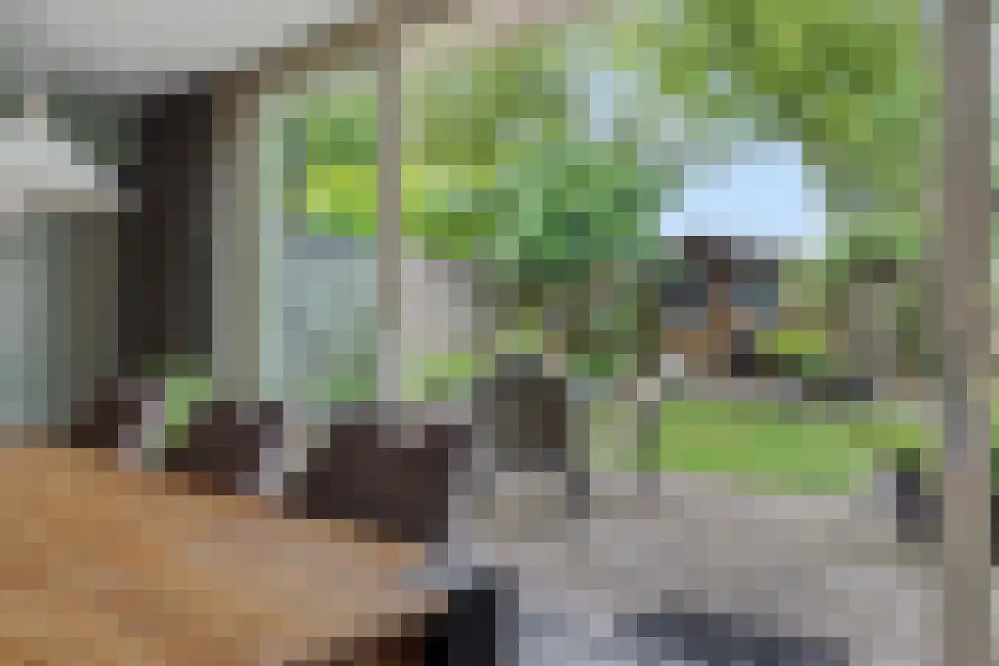 Dopheide 31 Deurne thumbnail 13