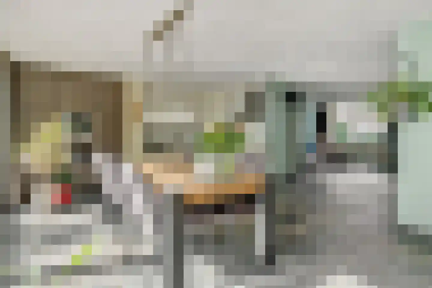 Dopheide 31 Deurne thumbnail 15