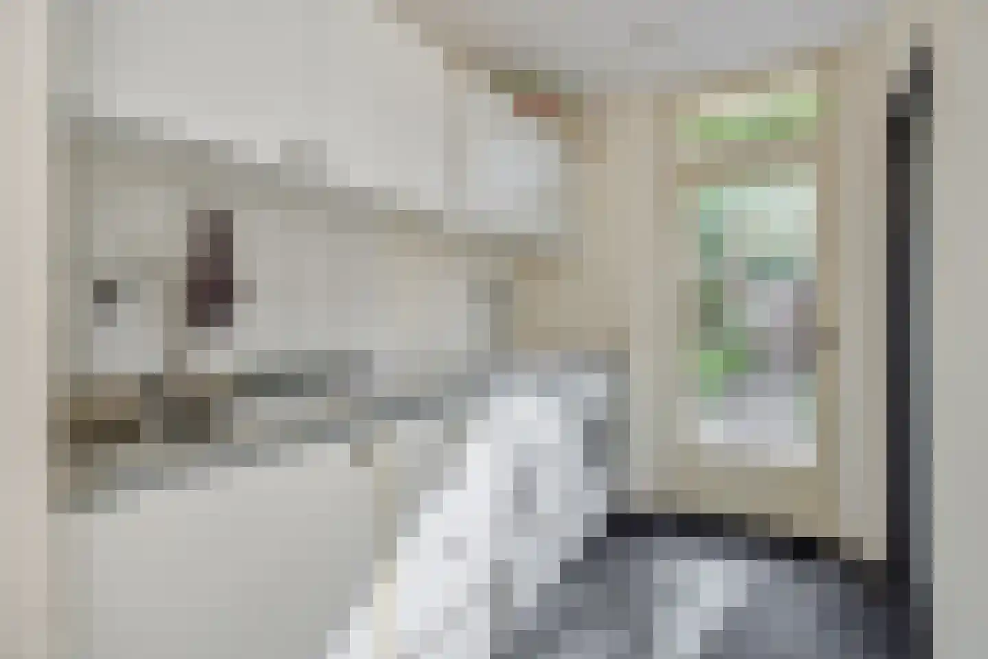 Dopheide 31 Deurne thumbnail 17