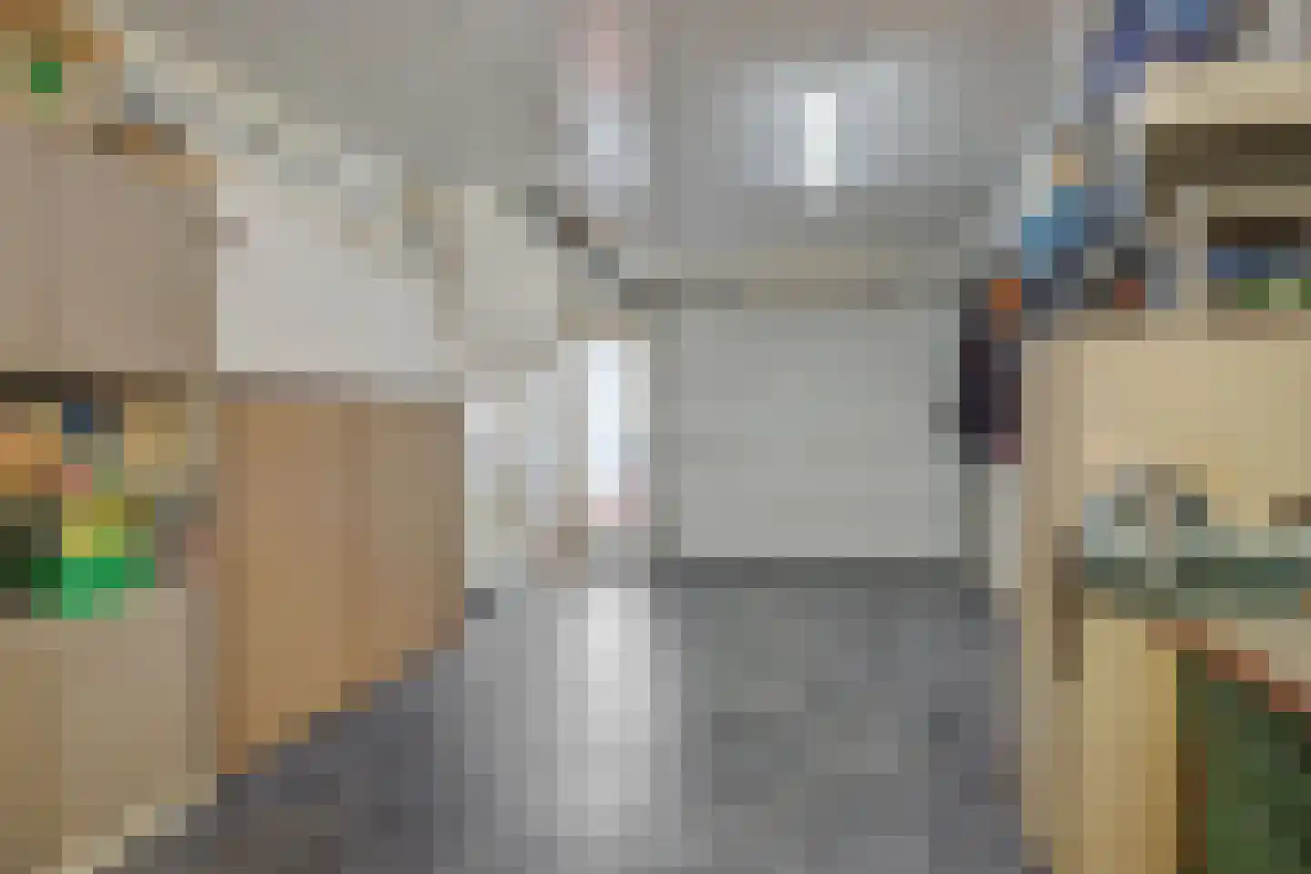 Dopheide 31 Deurne thumbnail 19