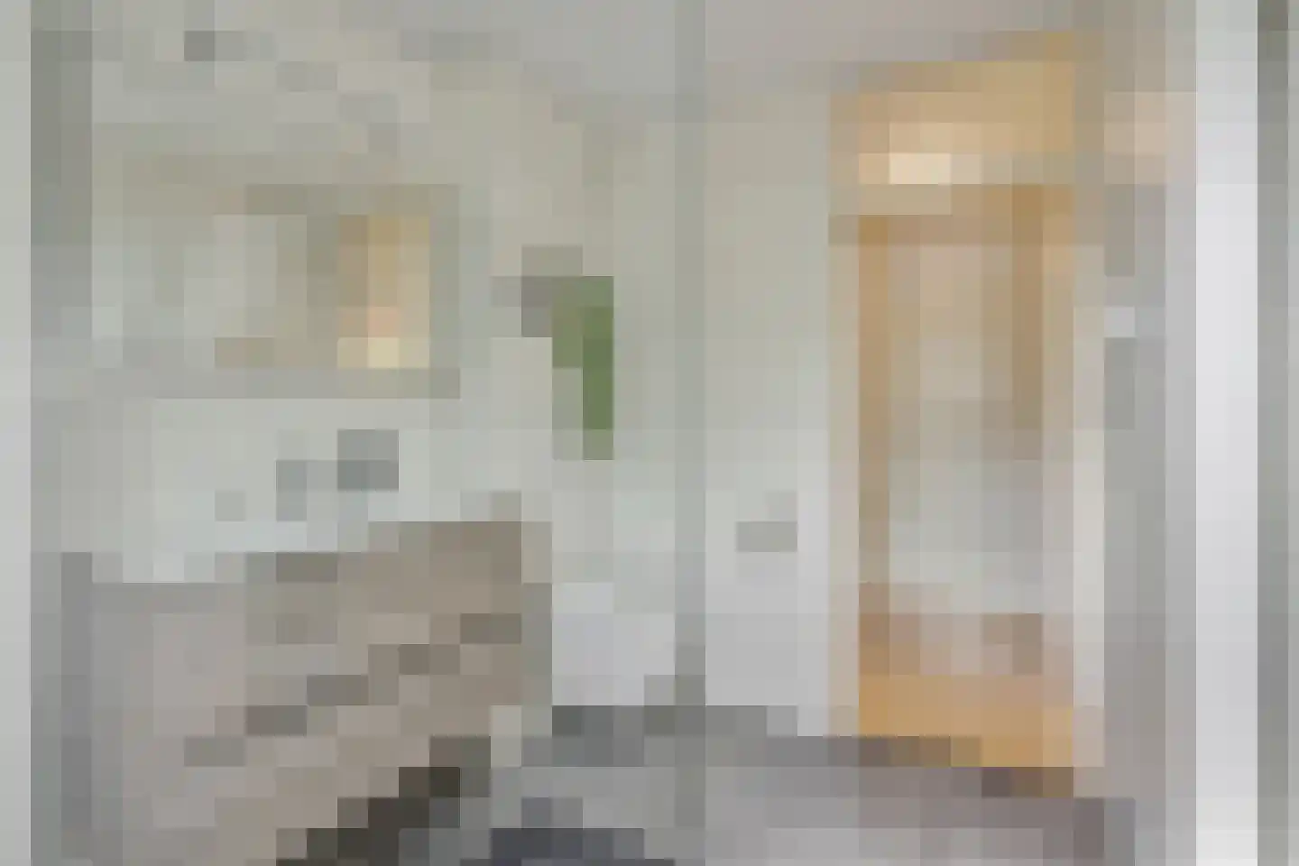Dopheide 31 Deurne thumbnail 26