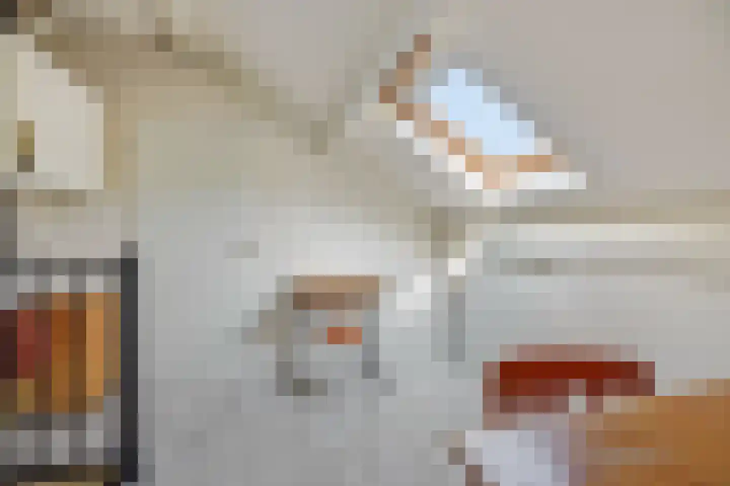 Dopheide 31 Deurne thumbnail 30