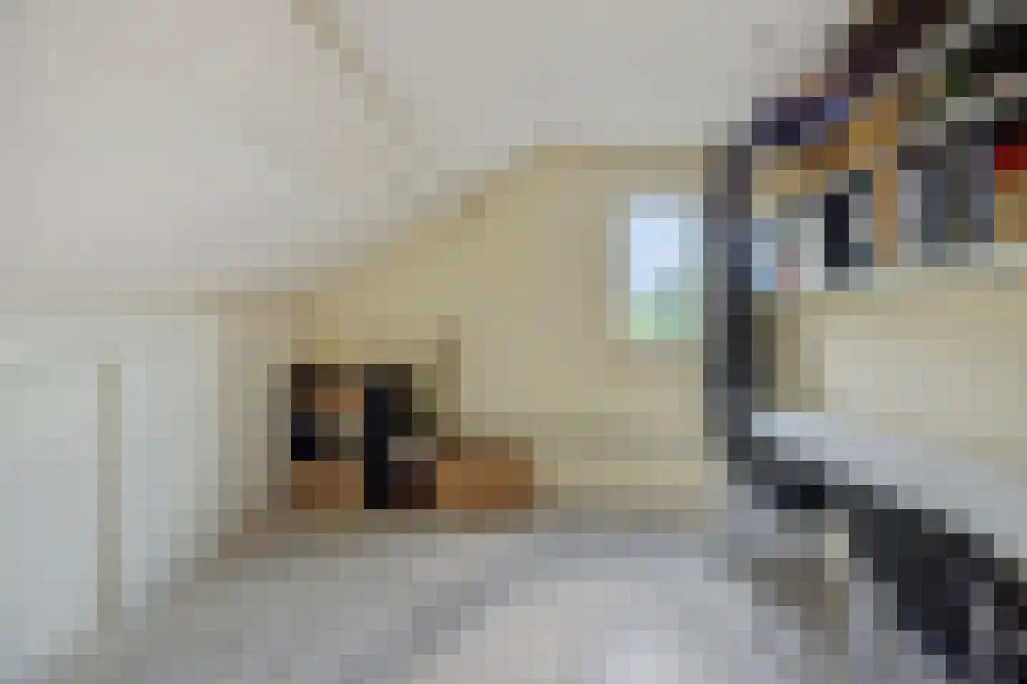 Dopheide 31 Deurne thumbnail 31