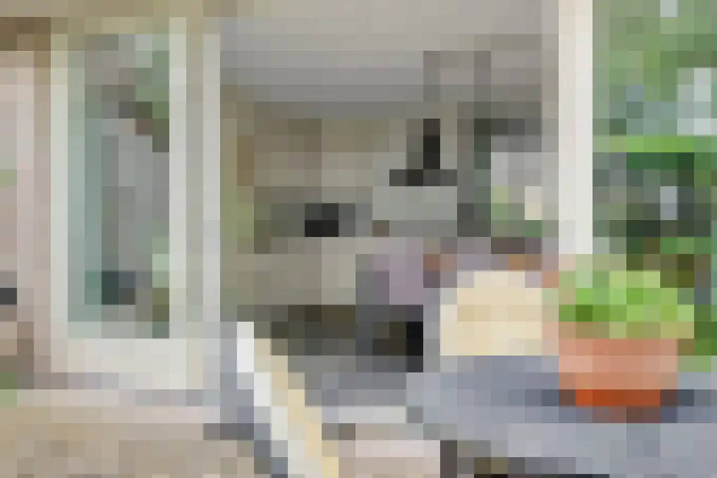 Dopheide 31 Deurne thumbnail 35