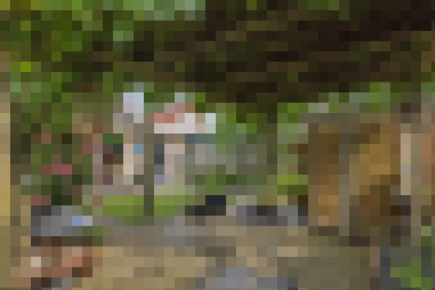 Dopheide 31 Deurne thumbnail 37