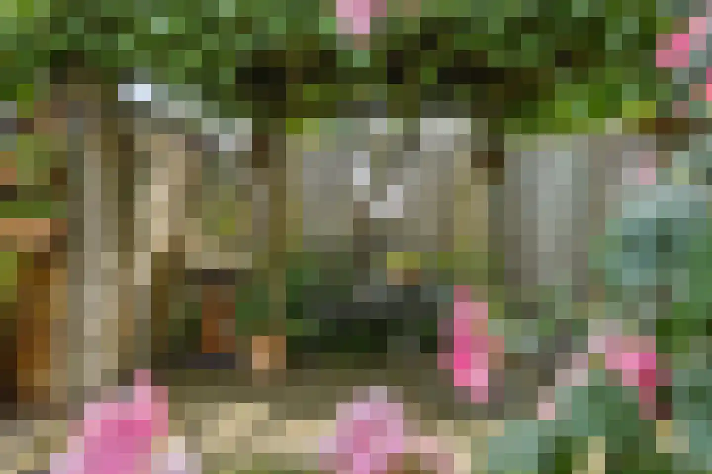 Dopheide 31 Deurne thumbnail 38