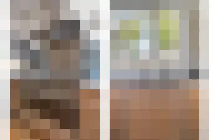 Dopheide 34 Leiden thumbnail 17