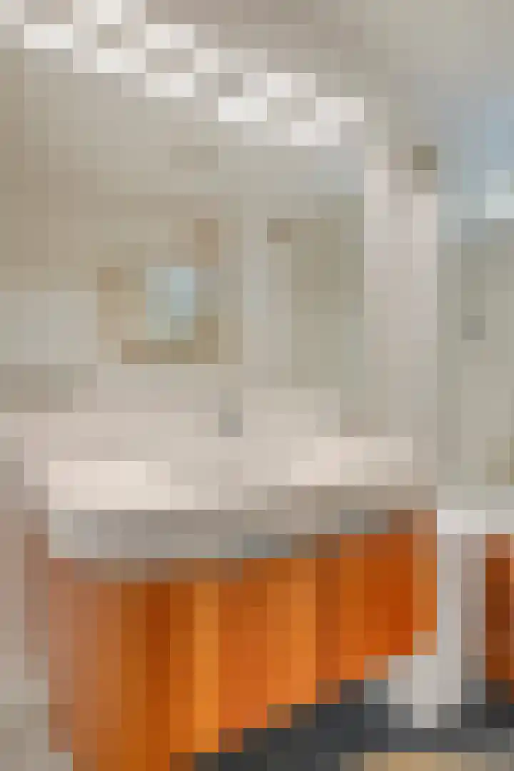 Dopheide 34 Leiden thumbnail 21