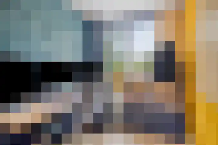 Dopheide 34 Leiden thumbnail 28