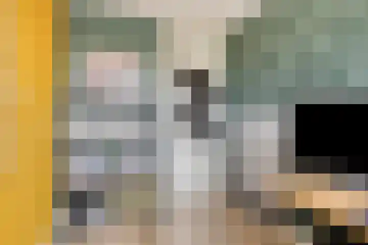 Dopheide 34 Leiden thumbnail 29