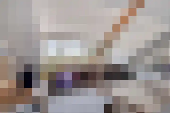 Dopheide 34 Leiden thumbnail 31