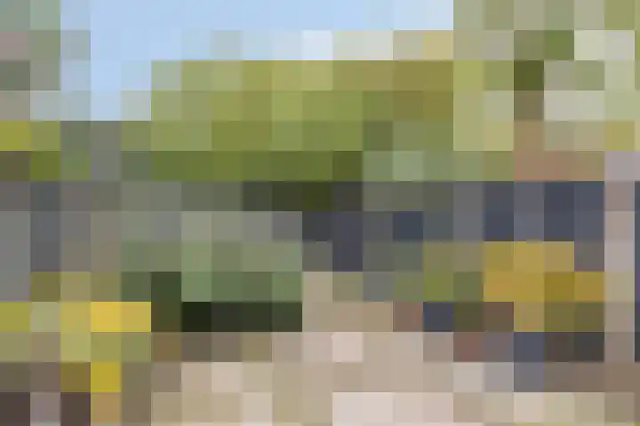 Dopheide 34 Leiden thumbnail 33