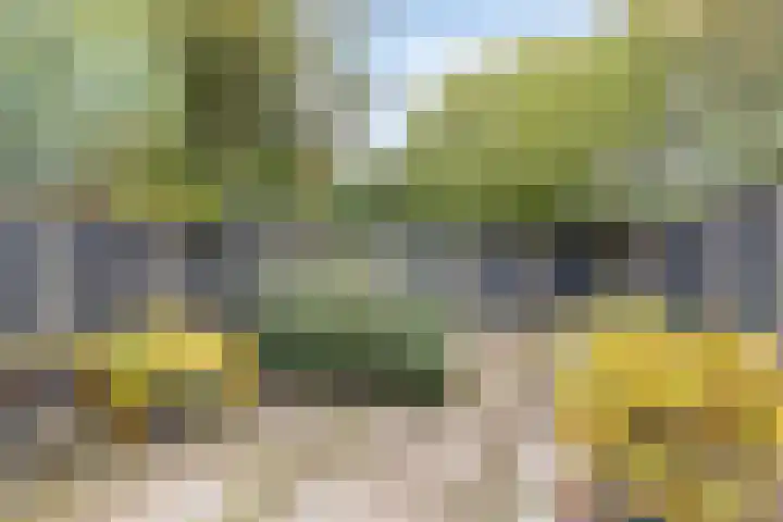 Dopheide 34 Leiden thumbnail 34