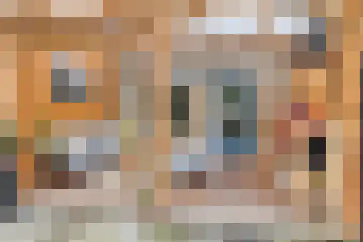 Dopheide 34 Leiden thumbnail 36