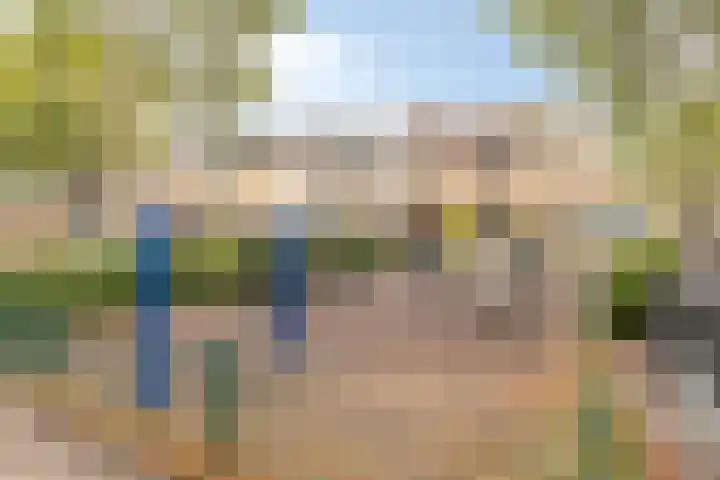 Dopheide 34 Leiden thumbnail 41