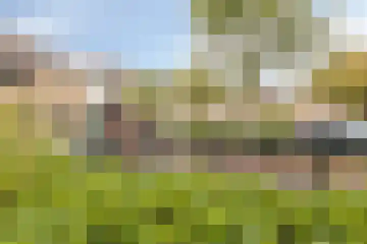 Dopheide 34 Leiden thumbnail 42