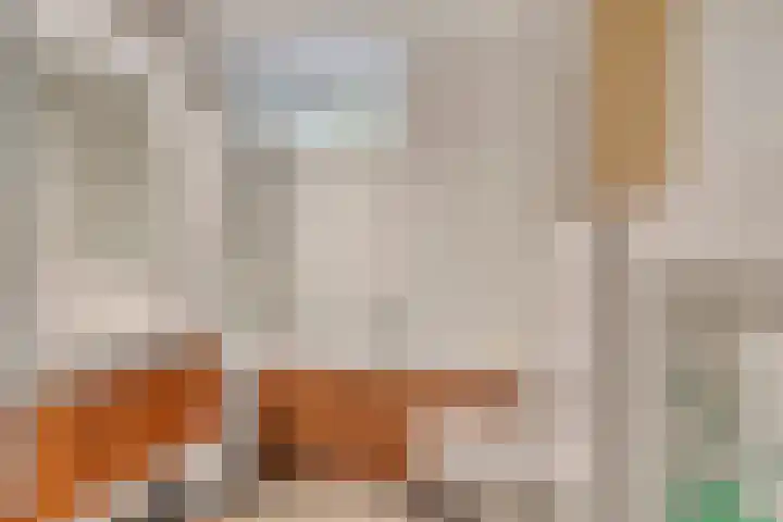 Dopheide 34 Leiden thumbnail 5