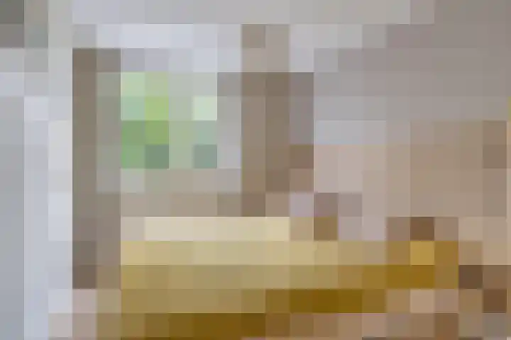 Dopheide 34 Leiden thumbnail 6