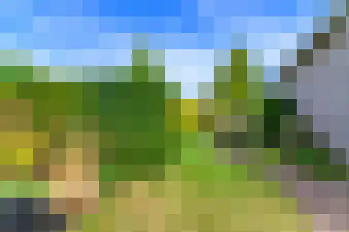Dopheide 36 Heerenveen thumbnail 17