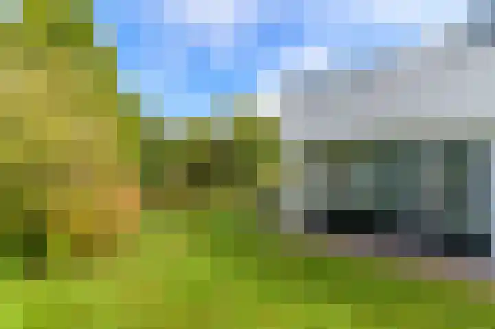 Dopheide 36 Heerenveen thumbnail 18