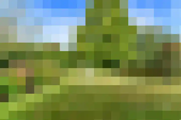 Dopheide 36 Heerenveen thumbnail 19