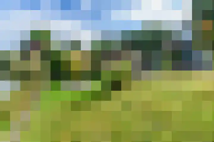 Dopheide 36 Heerenveen thumbnail 24