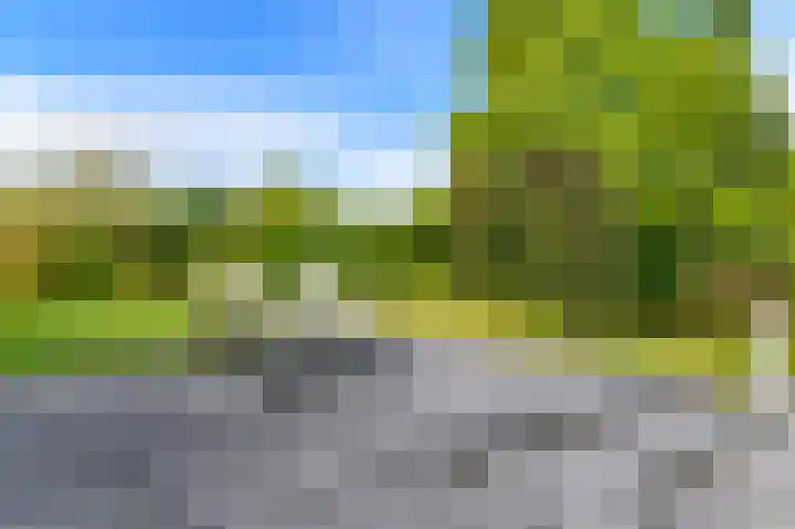 Dopheide 36 Heerenveen thumbnail 27