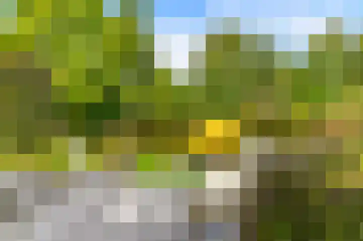 Dopheide 36 Heerenveen thumbnail 28