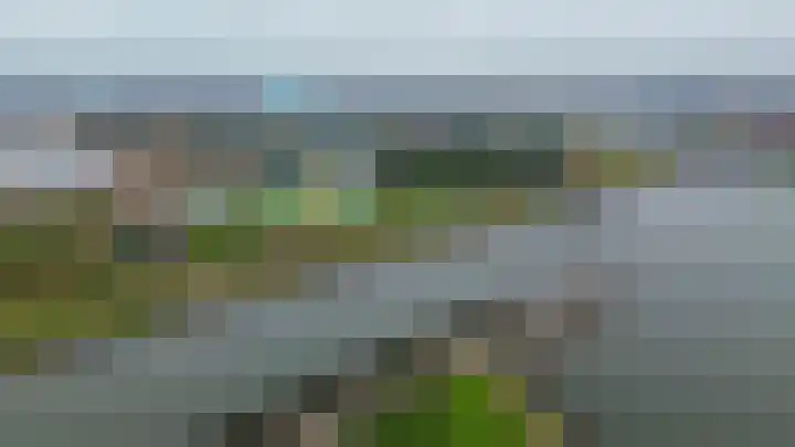 Dopheide 36 Heerenveen thumbnail 38