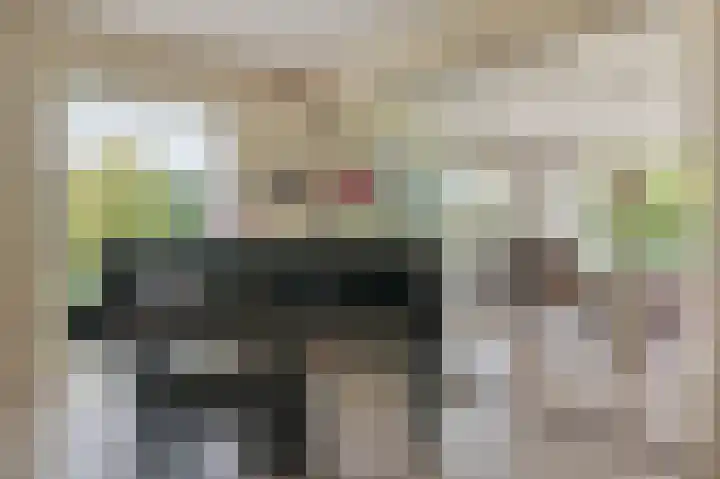 Dopheide 36 Heerenveen thumbnail 4