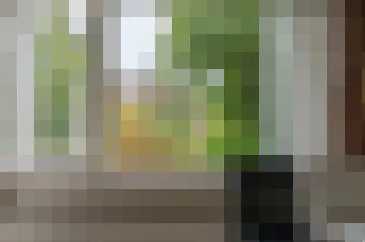 Dopheide 36 Heerenveen thumbnail 61