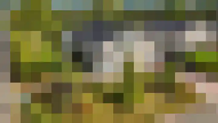 Dopheide 36 Heerenveen thumbnail 8