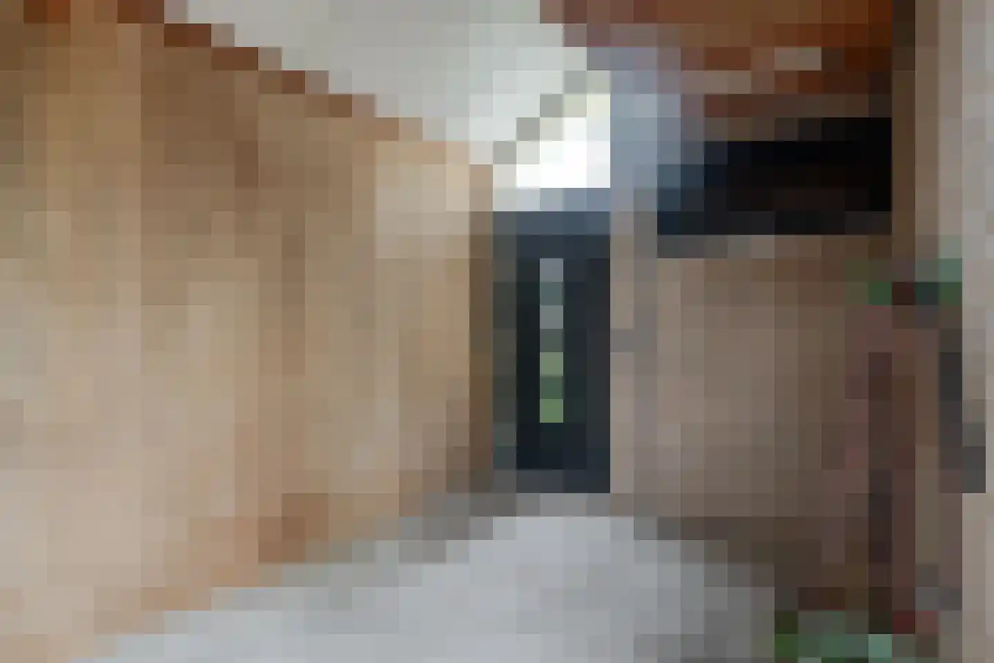 Dopheide 39 Heerenveen thumbnail 52